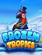 สัมผัสความสนุกกับ slotxo ฟรี เครดิต 50 ล่าสุด